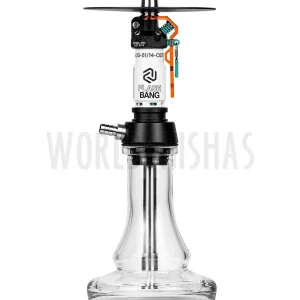 CACHIMBA AMOTION FLASH BANG PUMPKIN